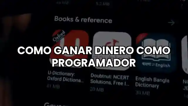 Cómo ganar dinero como programador