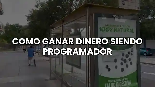 Cómo ganar dinero siendo programador