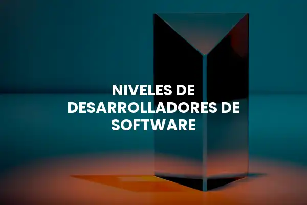 niveles de desarrolladores de software