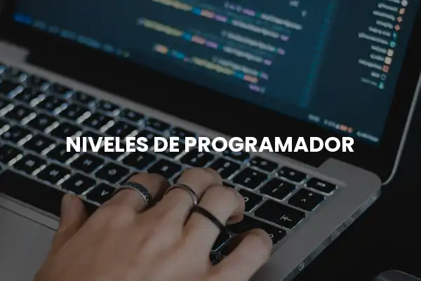niveles de programador