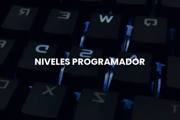 niveles programador
