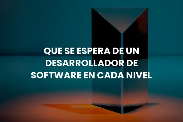 Que esperar de un DESARROLLADOR según nivel