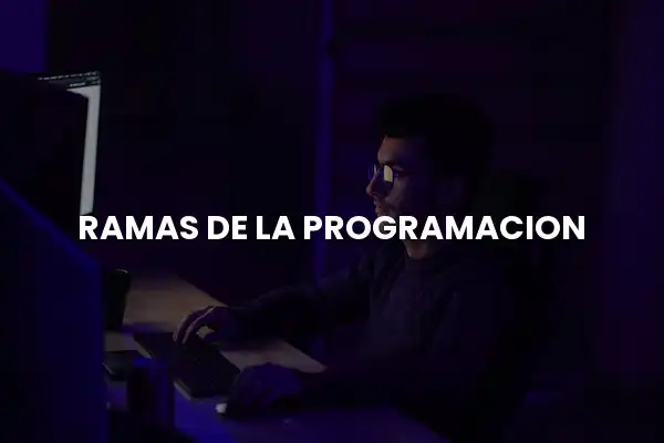 Ramas de la programación: ¿cuál es la ideal para ti?